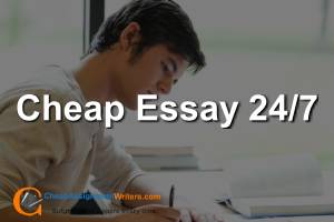 Cheap Essay 24/7