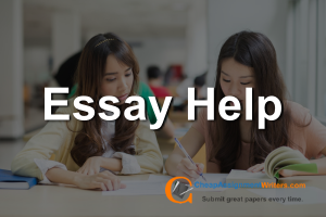 essay help