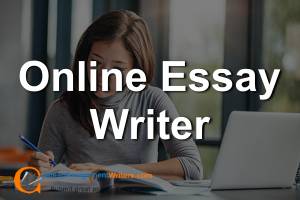 College Essay Writing Service Online