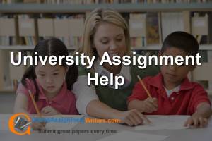 University Assignment Help