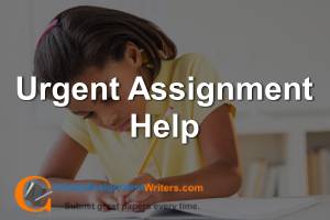 Urgent  Assignment Help