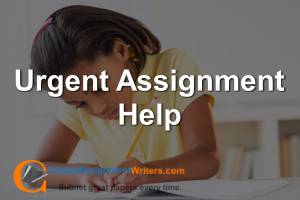 Urgent  Assignment Help